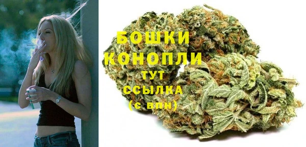 таблы Бородино